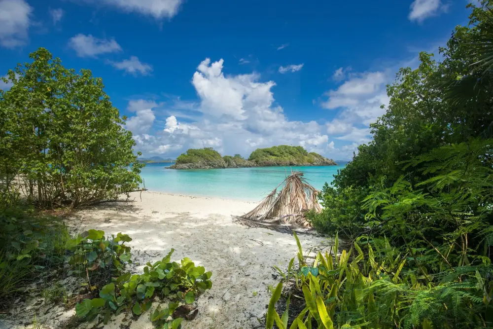 citoyenneté caribéennes
