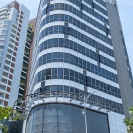 harvey law group danang